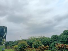-立新湖公园