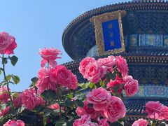 -天坛公园
