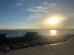 -宝安西湾红树林湿地公园