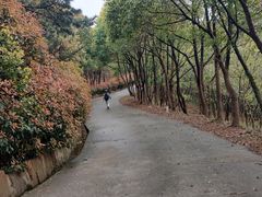 -雨花胜境