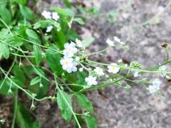 -陕西省红河谷森林公园