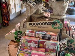 -大象粑粑造纸公园