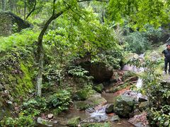 -莫干山风景区