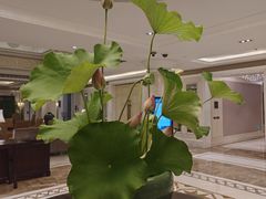 -福建鲤鱼洲酒店