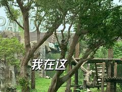 -武汉动物园