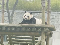 -柳州市动物园