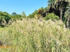 -南国桃园旅游度假区