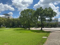 -上海第二工业大学(金海路校区)