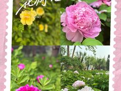 -太阳宫公园