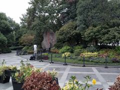 -西湖外事游船(湖滨二公园外事游船码头)