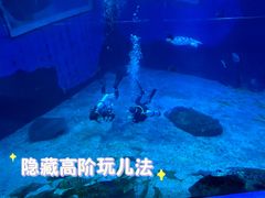 -太平洋海底世界