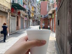 -洪馨椰子