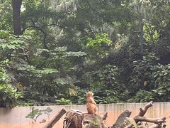 -杭州少年儿童公园