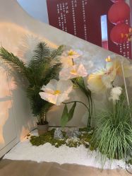 点击看大图 -阅年轻·AI家庭健康体质调理