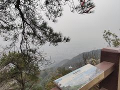 -缙云山景区