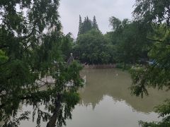 -汇龙潭