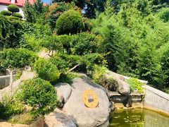 -烟台山景区