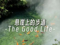 -雁荡山风景名胜区
