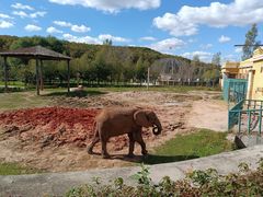 -哈尔滨北方森林动物园