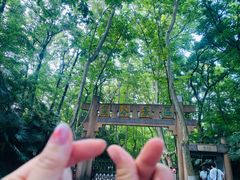 -灵谷景区