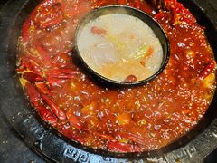 -渝大狮毛肚老火锅(普陀店)