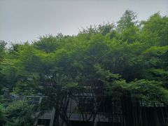 -杭州植物园