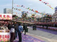 -大宁郁金香公园-停车场