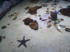 -多彩贵州城极地海洋世界