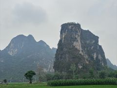 -明仕田园