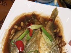 -友强·23年特色海鲜大排档(厦门店)
