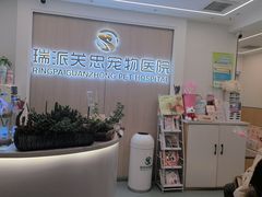 -瑞派·关忠动物医院·猫专科·犬专科(三环新城店)