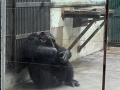 -石家庄市动物园