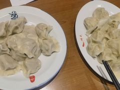 -鸿毛饺子(紫竹桥店)