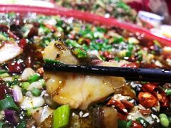 来凤鱼-东吴霸王兔(松青路店)