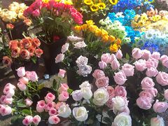 -循礼门鲜花花市(武汉循礼门店)