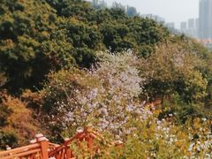-小南山公园