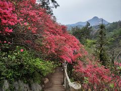 -木兰云雾山