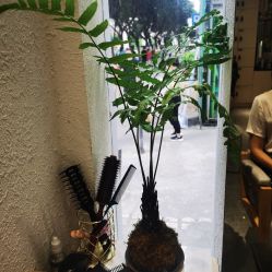 -菲·木田moontin造型salon