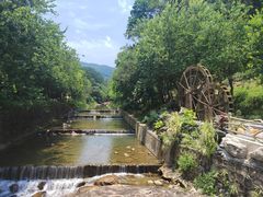 -广州白江湖森林公园