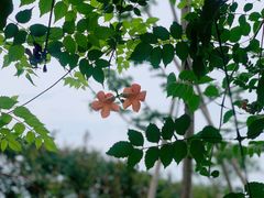 -下渚湖·湿地公园