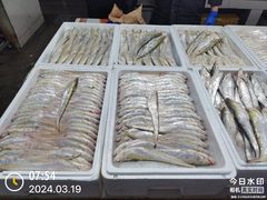 -陈家镇裕安农贸市场