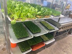 -阳光山水江湖菜馆(西山龙门店)