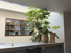 -自如ZSPACE四合院艺术餐厅