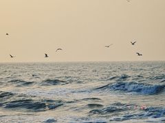 -老虎石海上公园