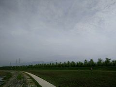 -洨河生态公园