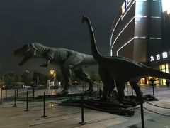 中影国际影城九江市八里湖新区九方店-中影国际影城(九江花园城CINITY LED店)