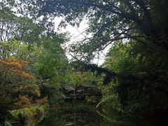 -张鸟园农家乐(张鸟园店)