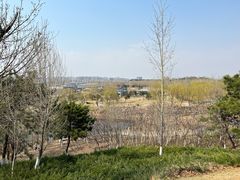 -莫子山公园
