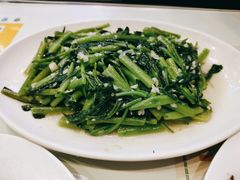 炒空心菜-澳门陈光记烧味饭店(郎家园店)