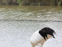 -盐城丹顶鹤湿地生态旅游区